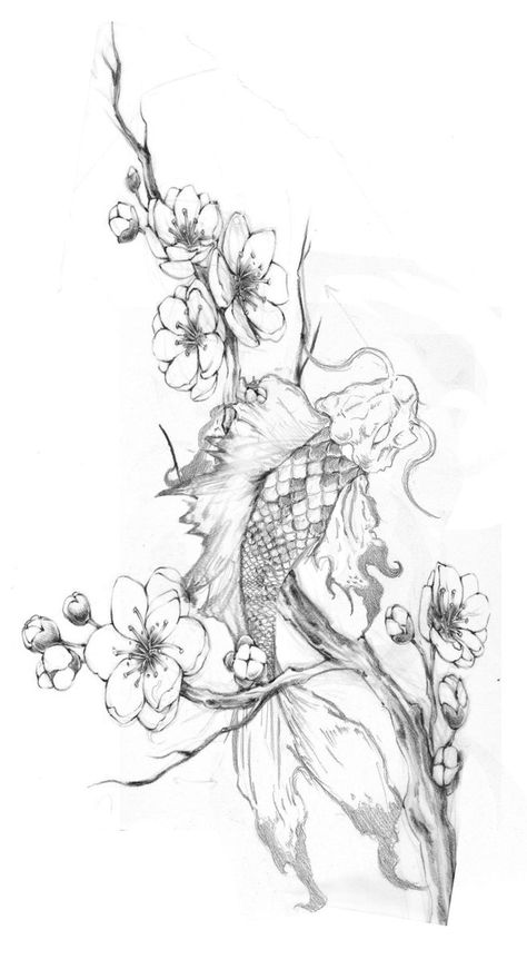 Japanese Koi Fish Tattoo Design Cherry Blossoms, Large Koi Fish Tattoo, Koi Fish Thigh Tattoo Women, Coi Fish Tattoo For Women, Koi Fish With Flowers Tattoo, Im Not Ashamed, Koi Tattoo Design, Koi Fish Drawing, Koi Tattoo