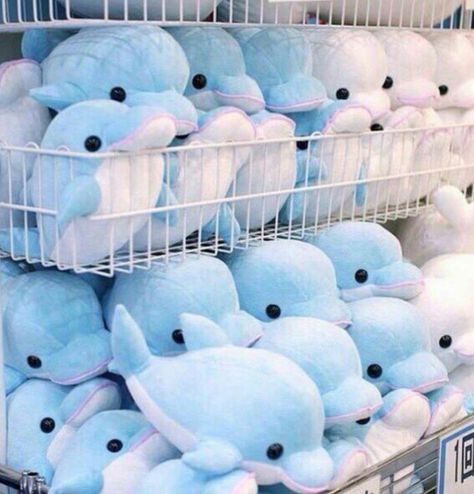 Random Aesthetic Pictures, Y2k Blue Aesthetic, White Dolphin, Pink Dolphin, Light Blue Aesthetic, Random Aesthetic, Cute Stuffed Animals, White Aesthetic, Sea Animals