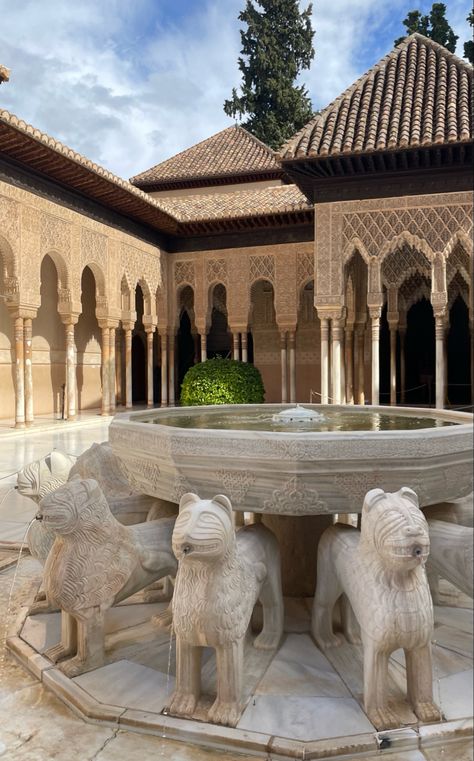 #granada #aesthetic #lion Granada Spain Aesthetic, Andalucia Aesthetic, Granada Aesthetic, Aesthetic Lion, Spanish Girl, Spain Aesthetic, Alhambra Granada, Al Andalus, Granada Spain