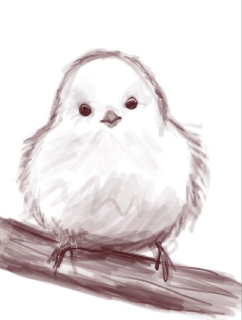 Shima Enaga Drawing, Cute Robin Drawing, Bird Drawing Aesthetic, Aesthetic Bird Drawing, Fat Bird Drawing, Bird Drawings Easy, Cute Bird Drawing, Bird Sketches, Robin Drawing