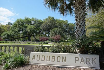 Riverview Park, Lafayette Cemetery, Downtown New Orleans, New Orleans Recipes, Lake Pontchartrain, New Orleans Museums, African American Museum, New Orleans French Quarter, Live Oak Trees