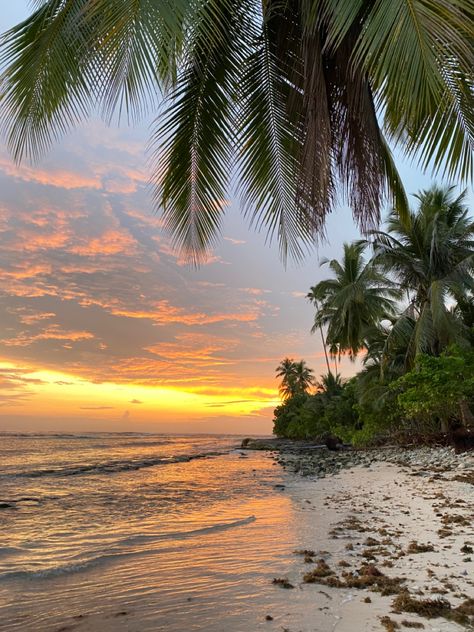 Paradise Background, Boracay Sunset, His Wallpaper, Hawaii Pictures, Pretty Views, Tropical Sunset, Gorgeous Scenery, Beautiful Vacations, Sunny Afternoon