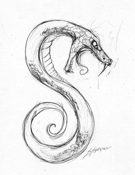 Snake Sketch, Snake Heads, Drawing Ideas Creative, Medusa Tattoo Design, Realistic Eye Drawing, Snake Drawing, Dibujo Simple, Mouth Drawing, Snake Art