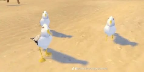 Sims 4 Seagull, Sims Seagull, Painting Ideas Characters, Low Poly Animals, Poly Animals, Bird Meme, Fat Bird, 3d Things, Silly Photos