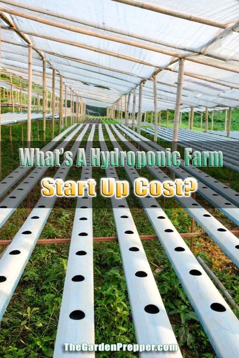 Hydroponics Farm, Homemade Hydroponics, Vertical Hydroponics, Hydroponic Farm, Hydroponic Greenhouse, Hydroponics Gardening, Modern Farming, Vertical Farm, Modern Greenhouses