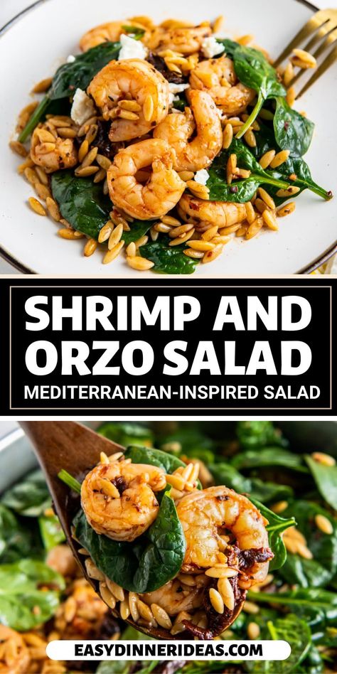 Shrimp and Orzo Salad is loaded with sun-dried tomatoes, juicy shrimp, and fresh spinach. This orzo salad recipe is perfect for cookouts! Shrimp And Orzo Salad, Shrimp Orzo Salad, Orzo Pasta Recipe, Shrimp And Orzo, Easy Orzo, Orzo Spinach, Orzo Pasta Recipes, Shrimp Orzo, Shrimp Pasta Salad