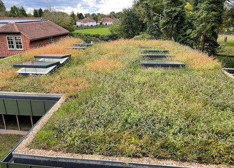 Green Roof On An Extension In East Sussex – Case Study Green Roof Project, Icf Blocks, Roof Room, Extensive Green Roof, Green Roof Building, Epoxy Resin Flooring, Green Roof System, Membrane Roof, Waterproofing Basement