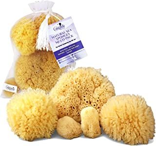 Amazon.com : Natural Sea Sponge Natural Sea Sponge, Bath Sponges, Spa Gift Set, Natural Sponge, Sea Sponge, Shower Sponge, Facial Cleaning, Spa Gifts Set, Spa Gift