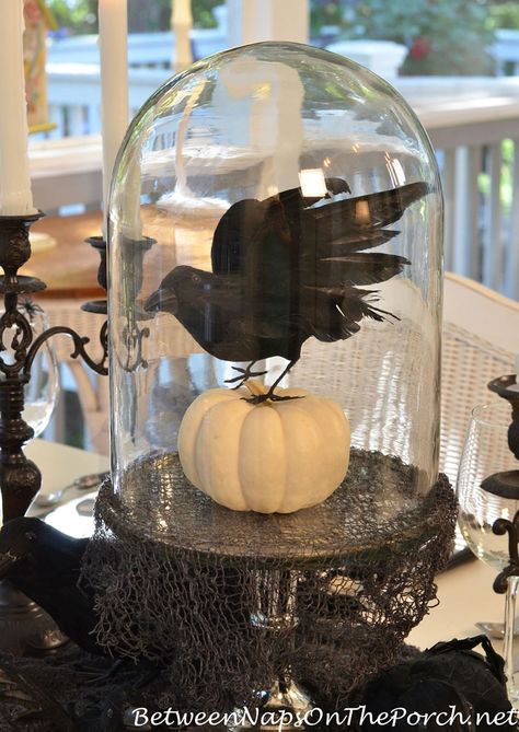 Halloween Party Ideas Decorations, Black And White Halloween Decor, White Halloween Decor, Halloween Cloche, Witches Tea, Halloween Table Settings, Cloche Decor, Black And White Halloween, Halloween Fest