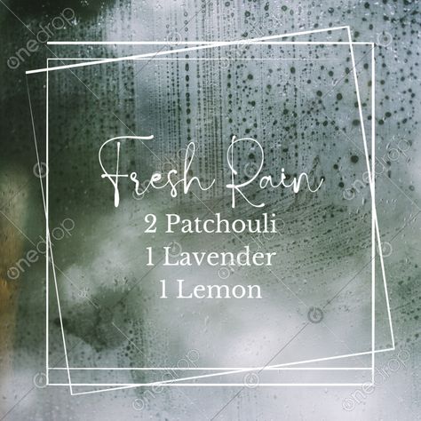 Fresh Rain Diffuser Blend #patchouli #lavender #lemon #diffuser blends #diffuser #Lavender uses #wellnessadvocate #doterra #wellnessstockphotos #onedropdesigns #doterrawellnessadvocate #doterratips #doterragraphics #doterraphotos Rainy Day Diffuser Blends Young Living, Patchouli Diffuser Blend, Rain Diffuser Blend, Lemon Diffuser Blends, Rain Diffuser, Oils For Migraines, Essential Oils For Migraines, Melissa Wood, Lavender Uses