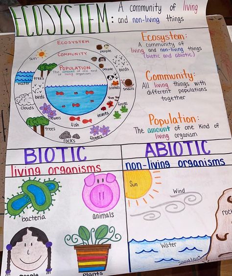 TheChartLady - Etsy Levels Of Organization Anchor Chart, Earth's Spheres Anchor Chart, Claim Reason Evidence Anchor Chart, Ecosystem Bulletin Board Ideas, Life Science Anchor Charts, 3rd Grade Science Anchor Charts, Ecosystem Drawing Ideas, Middle School Science Anchor Charts, Science Charts For Classroom