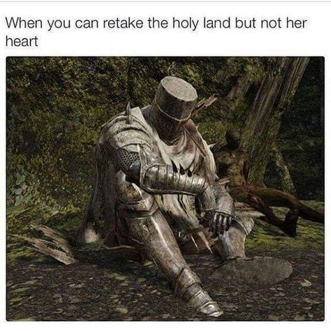 Dark Souls Funny, Medieval Memes, Dark Souls 2, Crusader Knight, History Jokes, Dark Souls Art, Morning Humor, Dark Souls, Really Funny Pictures