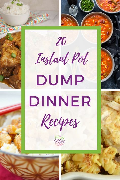 20 Instant Pot Dump Dinner Recipes Dump Dinner Recipes, Instant Pot Dump, Instant Pot Ideas, Electric Pressure Cooker Recipes, Dump Dinners, Instant Pot Air Fryer, Food Instant Pot, Dump Meals, Instant Pot Meals