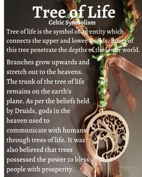 Tree Of Life Meaning Spiritual, Witch Notes, Tree Of Life Meaning, Witch History, Witchcraft Spells For Beginners, Life Meaning, Self Knowledge, Pagan Spirituality, Spells For Beginners