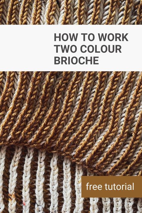 In this video tutorial I'm explaining all the basics of two colour brioche knitting. Learn how to create beautiful two coloured knitting projects with the basic skills of brioche knitting, all explained clearly. Brioche Knitting Patterns, Brioche Knitting, Brioche Stitch, Basic Skills, How To Knit, How To Work, Knitting Tutorial, Free Tutorial, Knitting Patterns Free