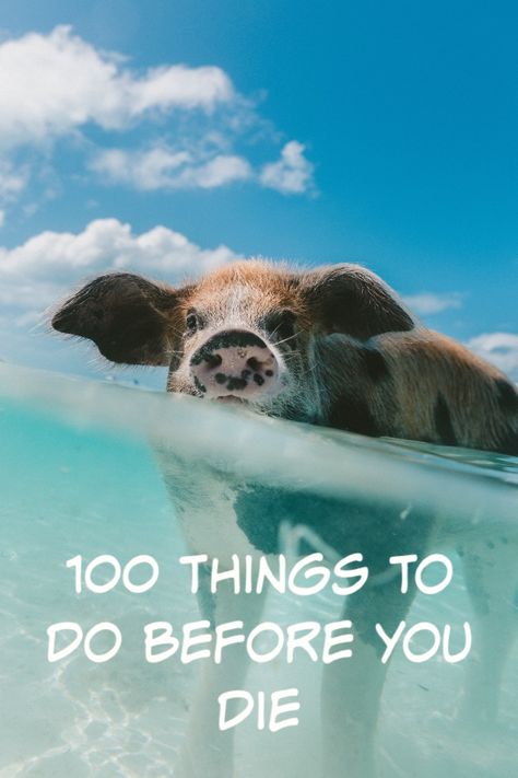 Pig Swimming, Visit All 50 States, Boating License, Start My Own Business, Pig Island, Graduate College, Brazil Carnival, Cliff Diving, Bahamas Island