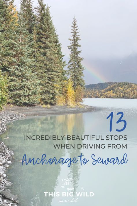 Alaska Road Trip, Rugged Mountains, Seward Alaska, Kenai Fjords National Park, Alaska Wildlife, Alaska Adventures, Alaska Vacation, Trip Destinations, Sensory Overload