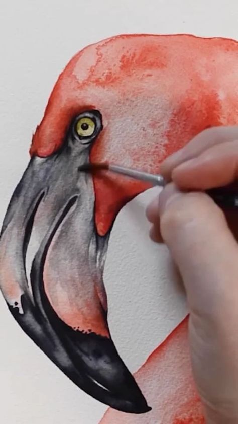 Pink Flamingo Watercolor Painting, Watercolor Flamingo Tutorial, Flamingo Art Painting, Seashell Flamingo, Flamingo Sketch, Watercolour Flamingo, Flamingo Paintings, Animal Art Painting, Painting Flamingo