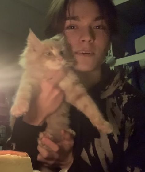 Vernon Cat, Svnteen Vernon, Bf Prank, Vernon Svt, Chwe Hansol, Dog Filter, Vernon Hansol, Choi Hansol, Vernon Chwe