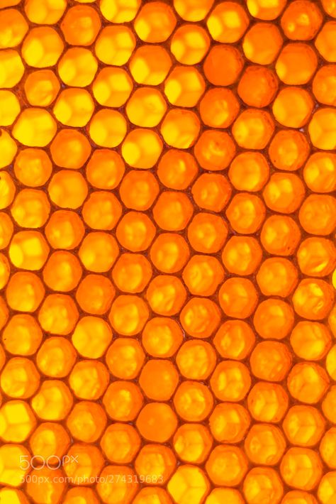 Beehive Background, Products Background, Honey Beehive, Texture Procreate, Secret Boards, Zoom Zoom, Burn Fat, Bee Hive, Honeycomb