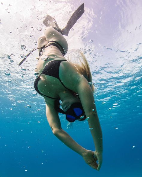 𝑺𝒉𝒆𝒍𝒃𝒚 Health Wellness Travel on Instagram: “Diving into some big stuff this year 🤩 If not now.. when?! Let’s goooo 🤸🏼‍♀️🤸🏼‍♀️💪🏼👊🏼💫” Women In Aviation, Real Life Mermaids, If Not Now When, Women's Diving, Swimmers Life, Underwater Painting, Scuba Girl, Not Now, Wellness Travel