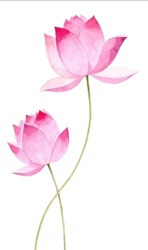 Lotus Clipart, Lotus Watercolor, Lotus Flower Art, Lotus Painting, Lotus Art, Pichwai Paintings, Pink Lotus, Lotus Flowers, Modern Art Paintings