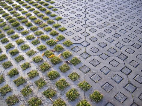 Nice way of keeping a defined path with grasscrete Grass Pavers, Pavement Design, Permeable Paving, Paving Pattern, Paving Ideas, Paving Design, Desain Lanskap, Easy Landscaping, Landscape And Urbanism