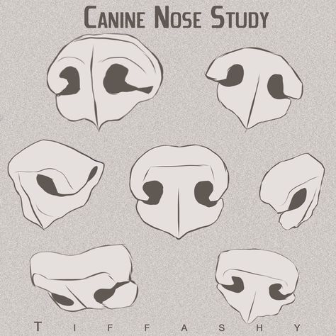 Nose Study, Colorful Dog Art, Canine Drawing, Dog Anatomy, Nose Drawing, 강아지 그림, Dog Nose, Animal Study, Wolf Drawing