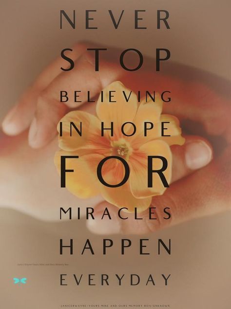 Never stop believing in hope for miracles happen everyday. Miracles Happen Quotes, Miracles Happen Everyday, Never Stop Believing, Miracles Do Happen, Miracles Happen, Art House, Forever Grateful, Heartwarming Stories, Bible Art