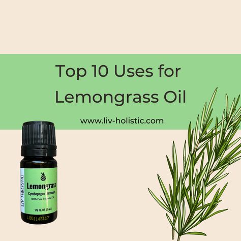 Lemongrass essential oil is derived from the leaves of the lemongrass plant through steam distillation. Lemongrass essential oil has been used for centuries in traditional medicine for its various health benefits. In recent times, it has gained popularity in the field of aromatherapy, primarily due Lemongrass Essential Oil Benefits, Lemongrass Essential Oil Uses, Lemongrass Plant, Lemongrass Oil, Essential Oils Cleaning, Essential Oils Health, Steam Distillation, Oils For Dogs, Lemongrass Essential Oil