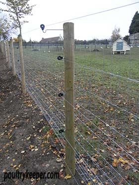 Poultry Fencing Poultry Fencing, Agricultural Fencing, Livestock Fence, Different Types Of Fences, Chicken Fence, Farm Fence, Electric Fence, Chicken Diy, Chicken Coops