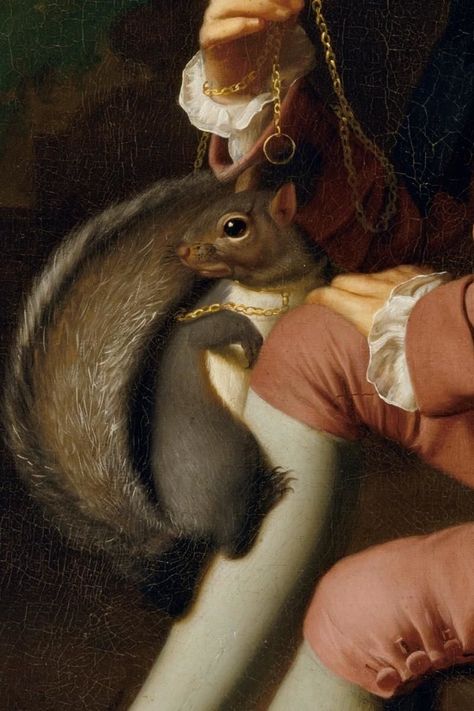 John Singleton Copley, John Singleton, Art Details, Unusual Animals, Paintings I Love, Detail Art, Weird Animals, Museum Of Fine Arts, Squirrels