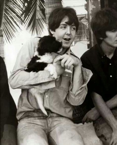 Paul with baby Martha. Martha My Dear, Jane Asher, Beatles Pictures, Sir Paul, King Of Pop, Paul George, The Fab Four, Puppy Eyes, Ringo Starr