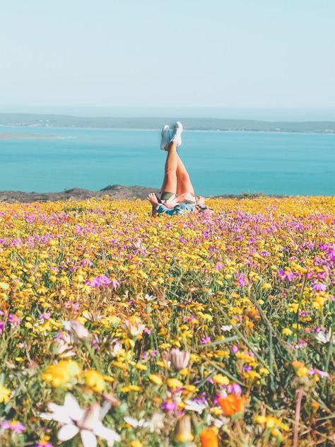 5 Tips for seeing the flowers on the West Coast. Cape Town spring flowers in the West Coast National Park Cape Town Itinerary, Cape Town Travel, Flower Season, Bright Blue Sky, Spring Images, Beach Illustration, Sunny Sunday, Picnic Spot, Enjoy The Sunshine