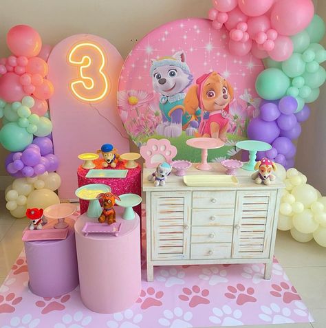 Skye Paw Patrol Party, Sky Paw Patrol, Paw Patrol Birthday Party, Paw Patrol Party, Paw Patrol Birthday, Mia 3, 3rd Birthday Parties, 5th Birthday, 4th Birthday