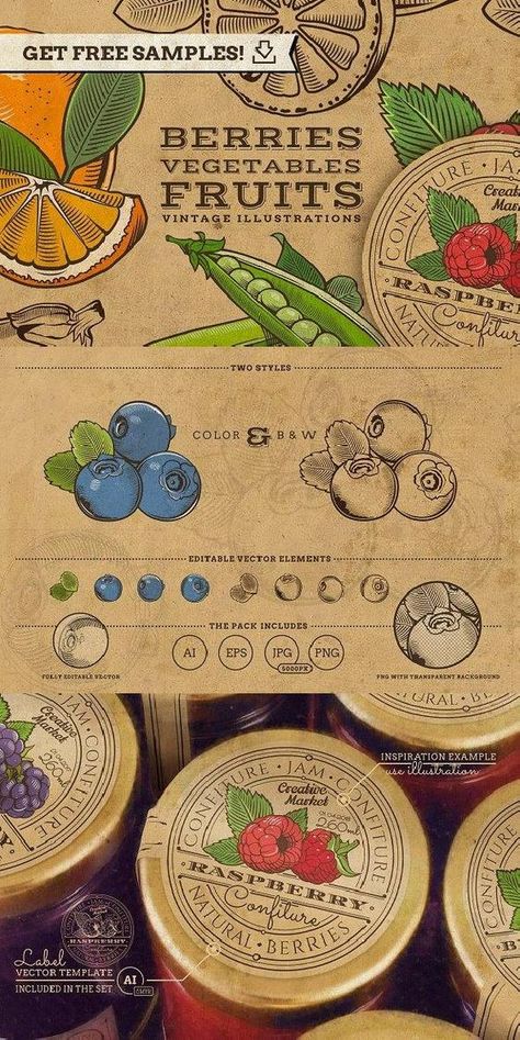 Cherry Packaging Design, Vintage Fruit Illustration, Vintage Product Design, Cherry Packaging, Fruit Branding, Vintage Packaging Design, Jam Packaging, Product Graphic, Fruit Labels