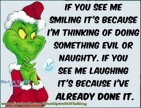 The Grinch Quotes Funny, Grinch Quotes Funny, The Grinch Quotes, Christmas Quotes Grinch, Grinch Memes, Padme Quotes, Grinch Stuff, Grinch Quotes, Days Quotes