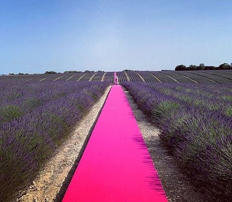 ArtStar on Instagram: “@jacquemus runway - 10 year anniversary show, lavender field Valensole, France 💜 #jacquemus #fashion #runway #lecoupdesoleil #fw #pfw #ss20…” Fashion Show Set Design, Catwalk Design, Lavender Field, 10 Year Anniversary, Lavender Fields, Laura Lee, 가을 패션, Album Photo, Instagram Foto