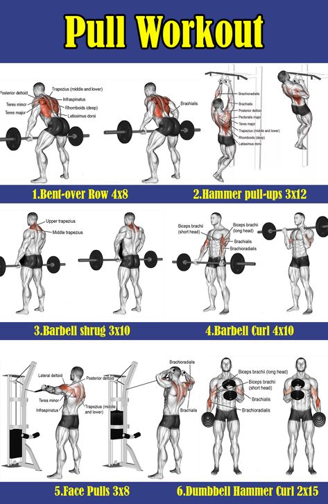 Pull Workout For Men Gym, Pull Day Workout Gym Men, Gym Pull Day, Pull Gym Workout, Pull Day Workout Men, Push Workout For Men, Pull Exercises Gym, Pull Workout For Men, Push Pull Legs Workout Plan Men