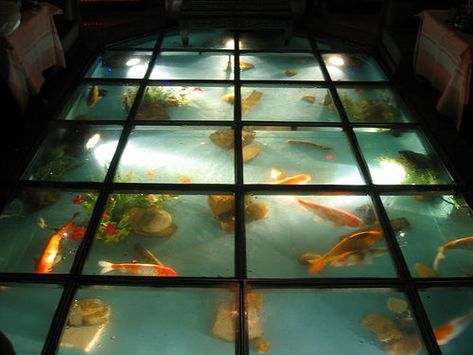 i would love to have fish in my floor, it's the only way the jerk cats would leave them the eff alone. Floor Aquarium Ideas, Floor Aquarium, Aquarium Floor, Indoor Pond, Glass Bridge, Alternative Flooring, Ikan Koi, Dream Mansion, Pond Design