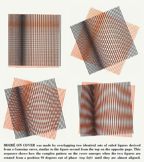 Moire Pattern Art, Interference Pattern, Lenticular Art, Moire Pattern, Scientific Art, Sokcho, Optical Art, Your 20s, Kinetic Art