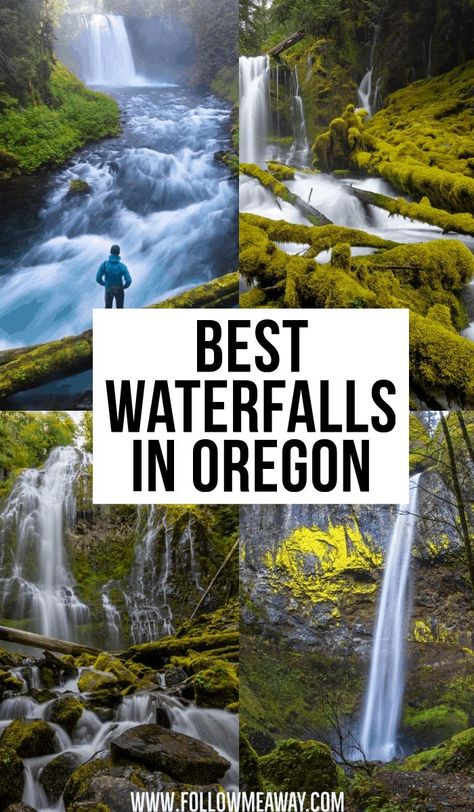 Best Waterfalls In Oregon | prettiest waterfalls in Pacific Northwest | best places to visit in Oregon | best places to go in Oregon | beautiful waterfalls in Oregon | vacation destinations in Oregon | hiking spots in Oregon | best views in Oregon | best lookout points in Oregon | travel to Oregon like a pro #Oregon #traveltips #travelguide Waterfalls In Oregon, Oregon Hiking, Visit Oregon, Pacific Northwest Travel, Explore Oregon, Oregon Hikes, Oregon Vacation, Oregon Photography, Oregon Waterfalls