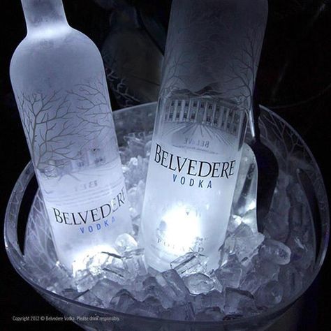 The world's first super premium vodka. Belvedere Pure. Worldwide delivery via Mathos-Exclusive.com $40,71 (euro) Mixology 101, What I Want For Christmas, Belvedere Vodka, Premium Vodka, Bts V Photos, Wine Photography, Cozy Room Decor, Luxury Aesthetic, Kid Table