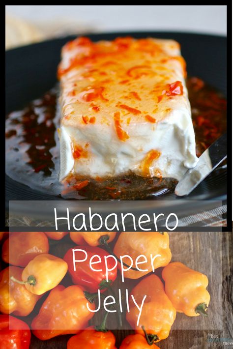 Habanero Pepper Jelly * My Hot Southern Mess Habanero Jam Recipes, How To Make Hot Pepper Jelly, Habaneros Recipe, Habenero Recipes Canning, Habenero Jelly Recipe, Things To Do With Habanero Peppers, Habanero Jelly Recipes, Habanero Jelly Canning, Habanero Peppers Recipes