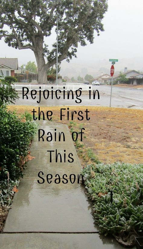 Rejoicing in the First Rain of This Season First Rain Quotes, First Rain, We Are All Mad Here, Rain Quotes, Season Quotes, Afternoon Quotes, Snapchat Streak, Were All Mad Here, Nice Quotes