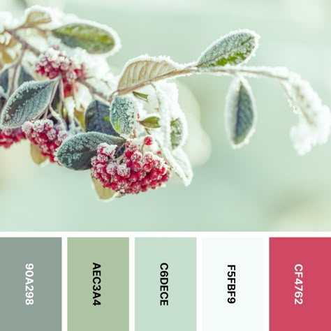 Sage Green Christmas Color Palette, Winter Color Inspiration, Colorful Christmas Color Palette, Sofisticated Color Palette, Grinch Color Palette, Winter Colors 2024, Winter Colour Pallete, Winter Holiday Color Palette, Christmas Palette Colour Schemes