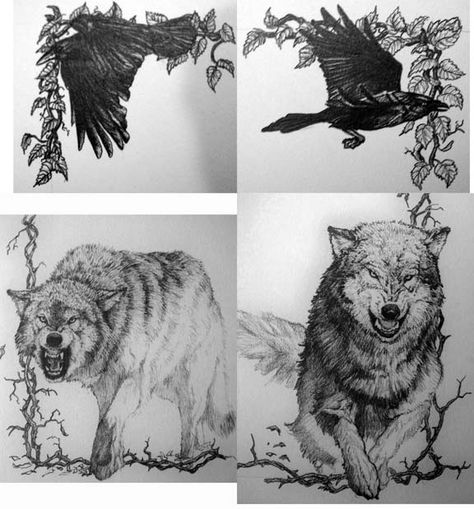 Huginn, Muninn, Geri and Freki by Meador on DeviantArt Hugging And Muninn, Geri And Freki Tattoo, Tattoo Wolves, Borneo Tattoos, Norse Tattoos, Geri And Freki, Lup Singuratic, Viking Christmas, Norse Mythology Tattoo