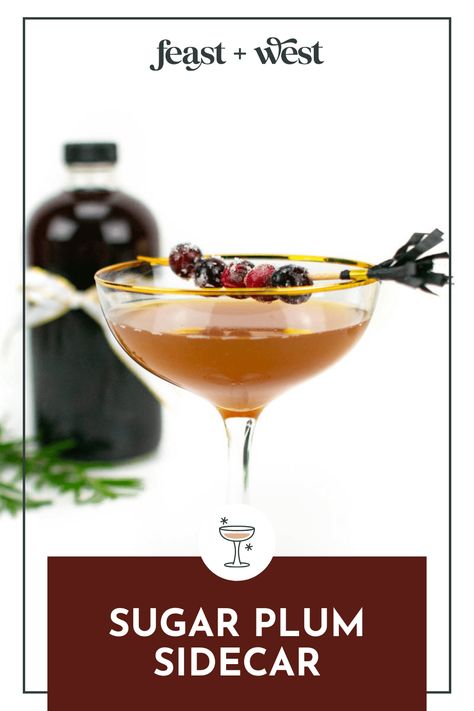 Sip on a Sugar Plum Sidecar and dream of the ballet! With plum brandy, this festive holiday cocktail is a spirit-forward yet sweet-tart sipper. Plum Vodka, Plum Drink, Brandy Drink, Plum Brandy, Festive Holiday Cocktails, Brandy Cocktails, Chocolate Cocktails, Vodka Recipes, Plum Wine