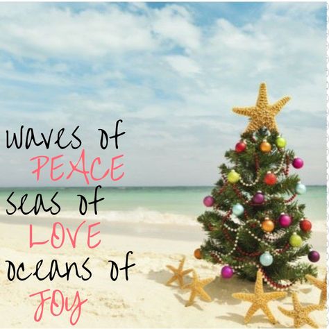 Merry Christmas Beach Images, Beach Christmas Quotes, Beach Christmas Wallpaper, Christmas By The Sea, Christmas Beach Photoshoot, Christmas Beach Photos, Beach Christmas Pictures, Happy Holidays Images, Christmas On The Beach