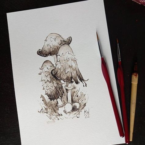 Liquid Ink Art, Shaggy Mane Mushroom Drawing, Ink Cap Mushroom Tattoo, Shaggy Ink Cap Mushroom Drawing, Shaggy Ink Cap Mushroom, Shaggy Inkcap Mushroom Drawing, Ink Mushroom, Shaggy Ink Cap, Ink Cap Mushroom Drawing